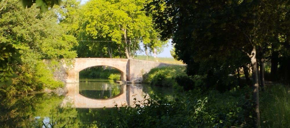 Chapitre 4 : de Castres à Toulouse